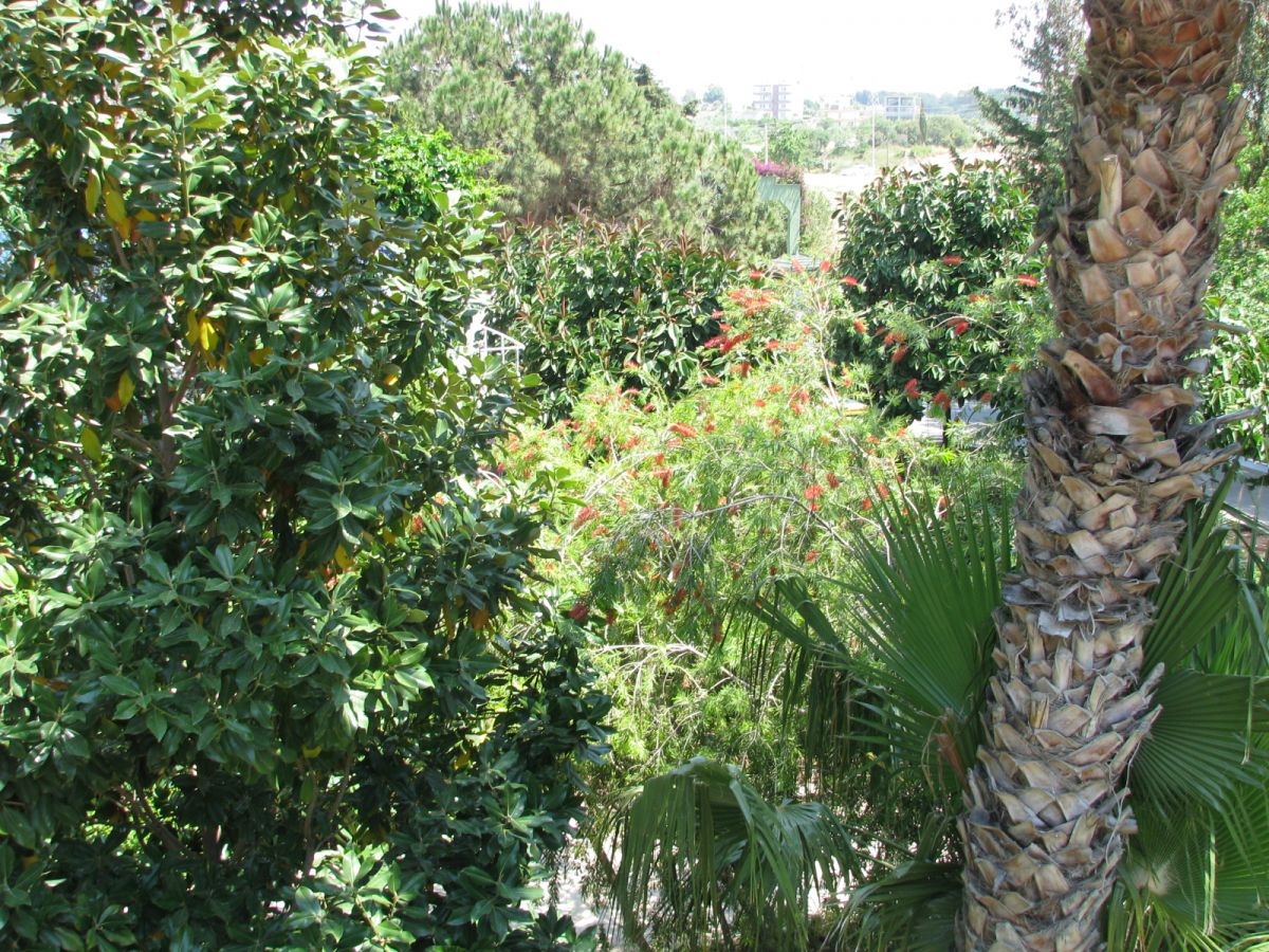 imagini hotel DELPHIN BOTANIK